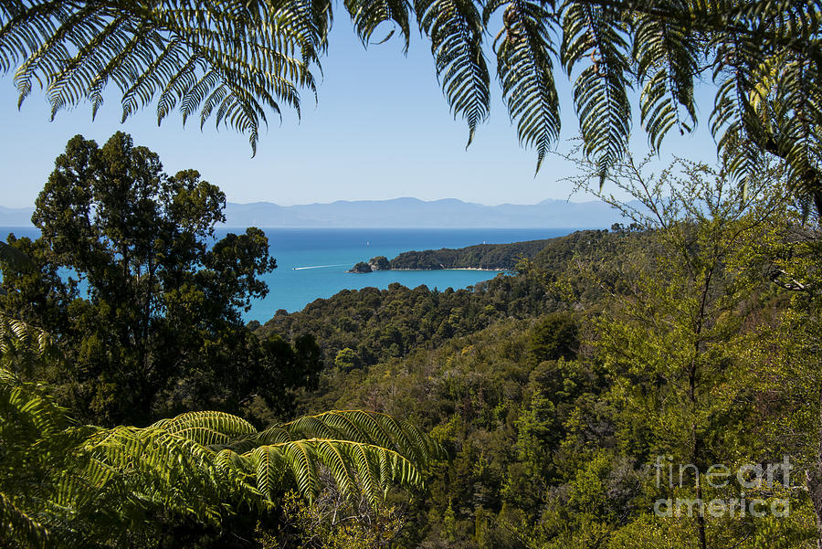 View of Tasman Sea Photograph by Bob Phillips