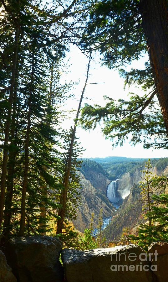 Yellowstone National Park Photograph - View Of The Canyon by Kathleen Struckle