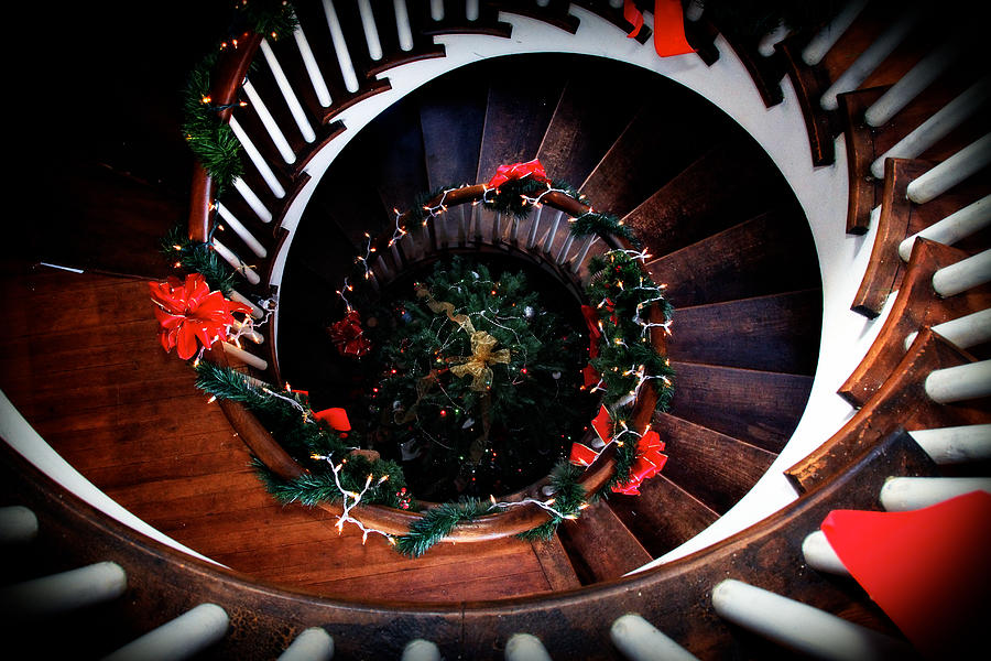 View of the Christmas Tree from the Spiral Staircase Photograph by Eleanor Abramson