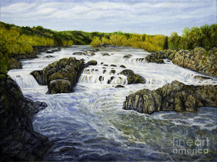 View of the Falls at Great Falls Park Painting by Gail Darnell