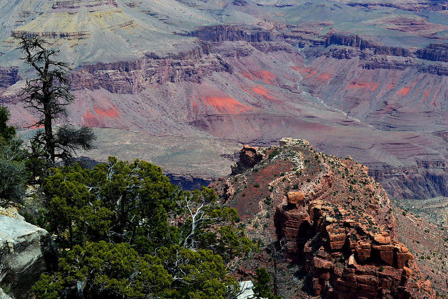 Grand Canyon National Park Photograph - View of the Grand Canyon South Rim by Jeffrey Hamilton