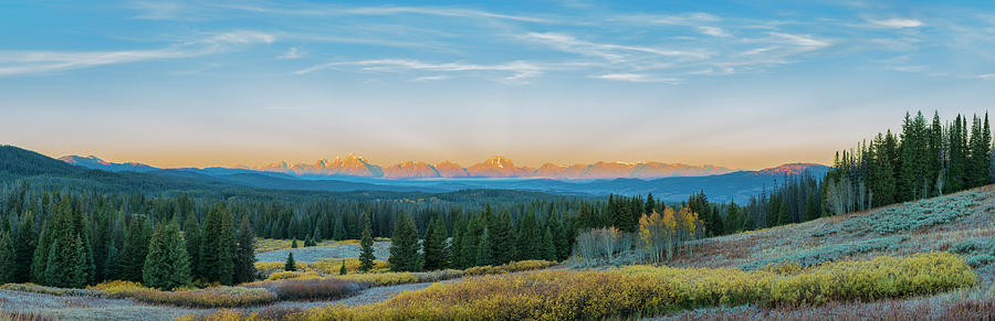 Forest Photograph - View Of The Grand Teton Mountains by Richard and Susan Day Forest Photograph - View Of The Grand Teton Mountains by Richard and Susan Day