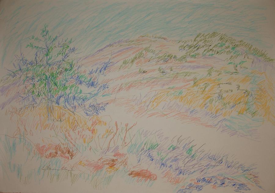 View of the Jerusalem Forest Drawing by Esther Newman-Cohen