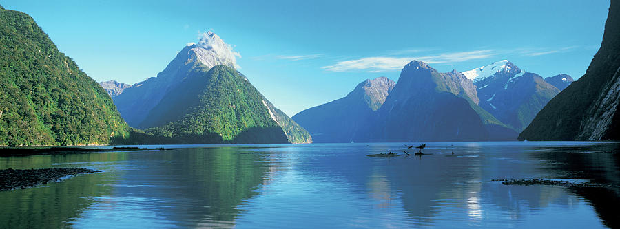 Fiordland National Park Photograph - View Of The Milford Sound, Fiordland by Panoramic Images