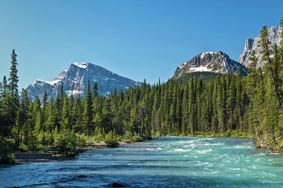 View Of The Mistaya River, Mount Photograph by Panoramic Images - Fine ...