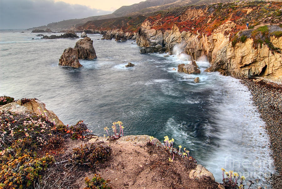 Sunset Photograph - View of the rocky coast from Soberanes Point in Garrapata State  by Jamie Pham