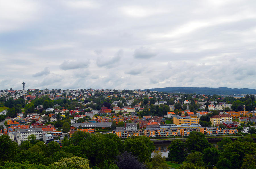 View of Trondheim Hillside  Photograph by Carol Eliassen