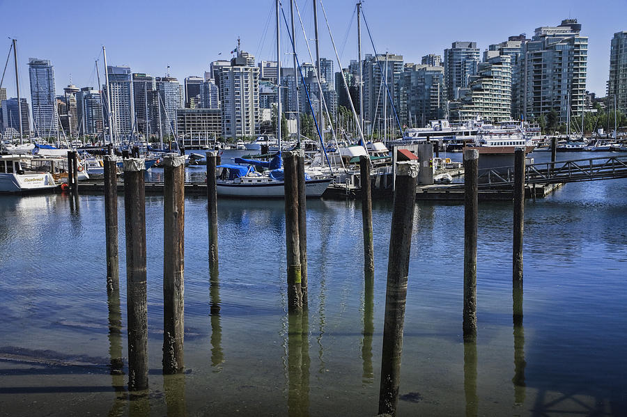 View of Vancouver Harbor from Stanley Park No. 0815 Photograph by Randall Nyhof