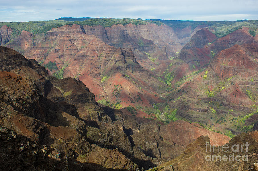 View Of Waimea Canyon Photograph by Suzanne Luft