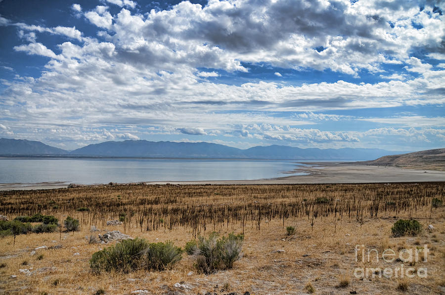 View of Wasatch Range From Antelope Island Photograph by Donna Greene