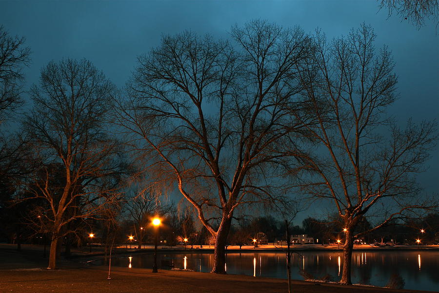View of Washington Park Photograph by Bill Wiebesiek
