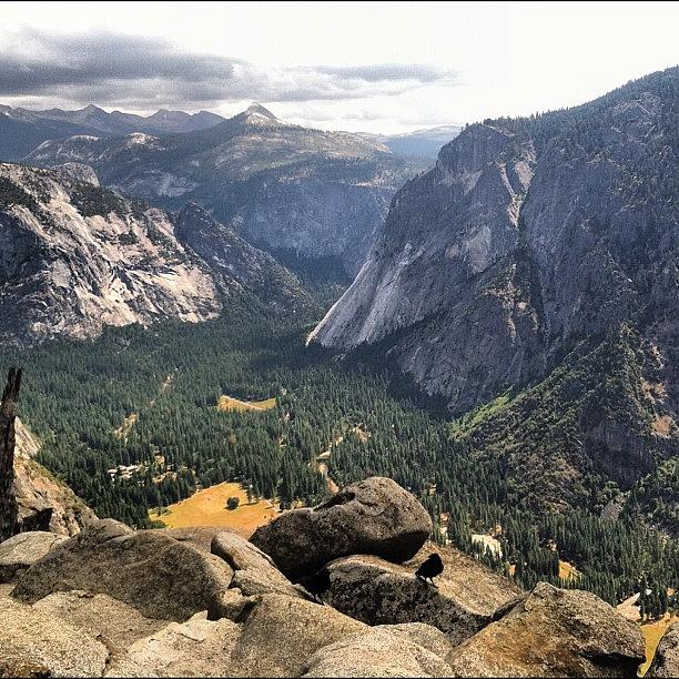 Yosemite National Park Photograph - View Of #yosemite Valley From The Top by Stacy C