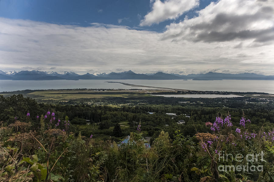 View on Homer and the spit in Alaska Photograph by Dan Friend