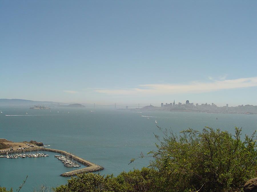 View on San Francisco Photograph by Vadim Levin