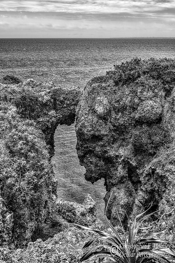 Nature Photograph - View Through the Crack - BW by Christopher Holmes