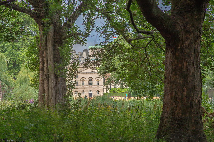 View Through The Trees Photograph