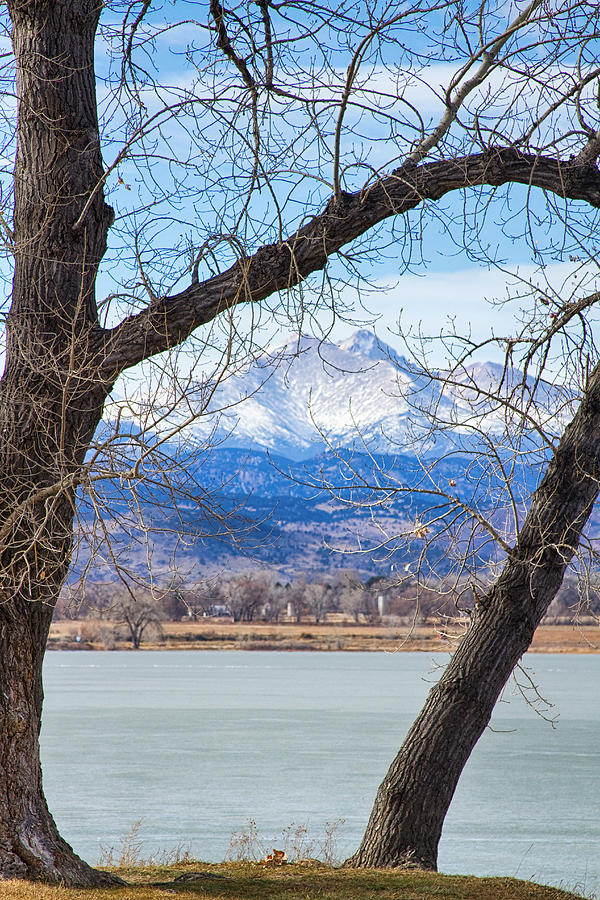 View Through The Trees To Longs Peak Photograph by James BO Insogna