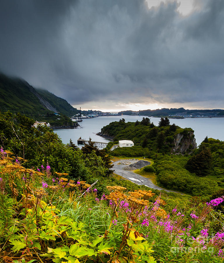 Nature Photograph - View to Kodiak by Steven Reed