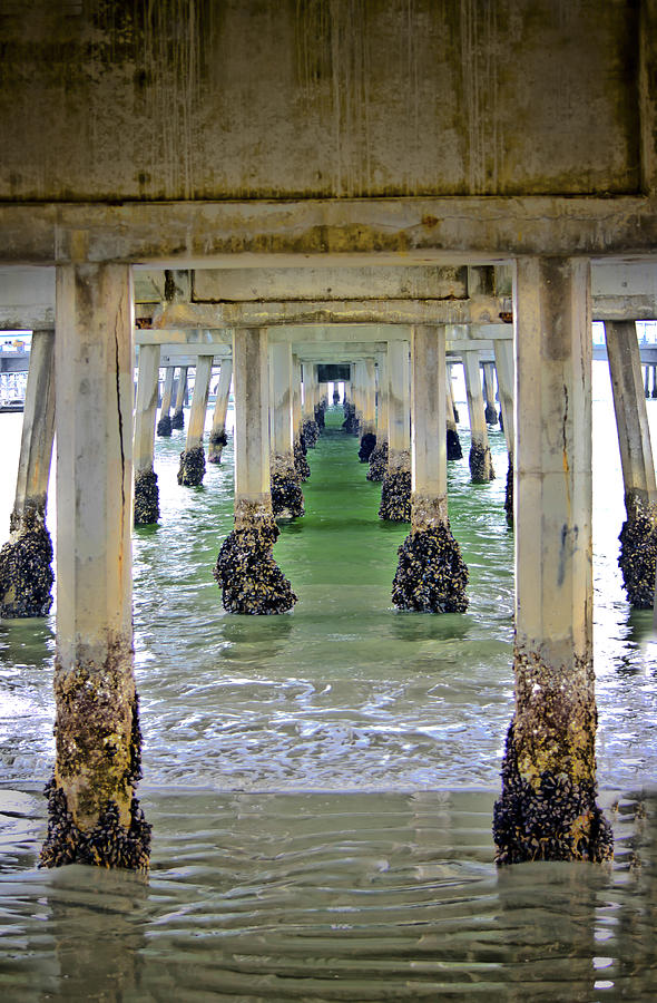 View Under Pier Photograph by Joseph Hollingsworth