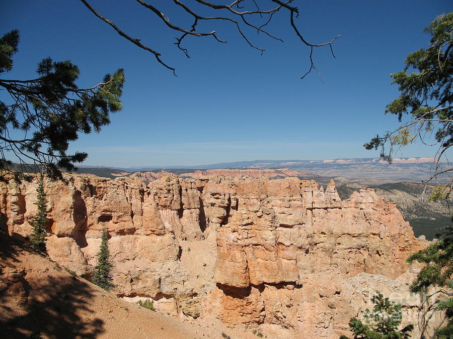 Bryce Canyon National Park Photograph - Viewpoint At Bryce Canyon  by Christiane Schulze Art And Photography