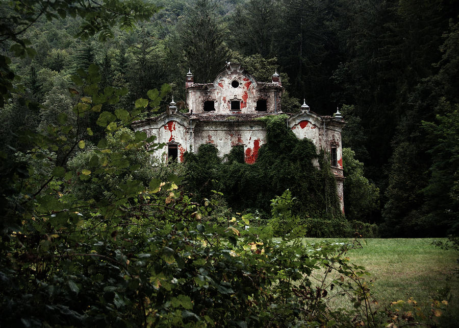 Villa De Vecchi Photograph by Laura Melis