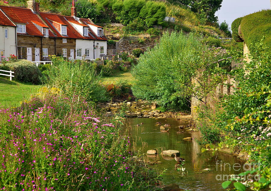 Village Cottages and Stream - Yorkshire Photograph by Martyn Arnold