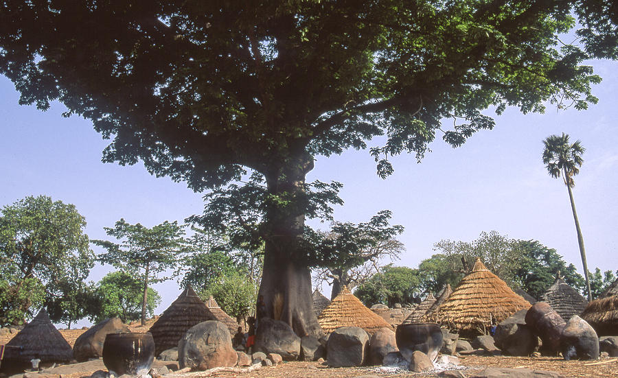 Village of Iwol underneath a giant tree Photograph by © Santiago Urquijo