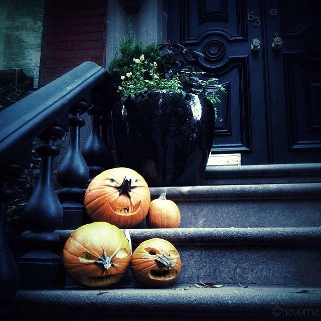 Halloween Photograph - Village Pumpkins by Natasha Marco