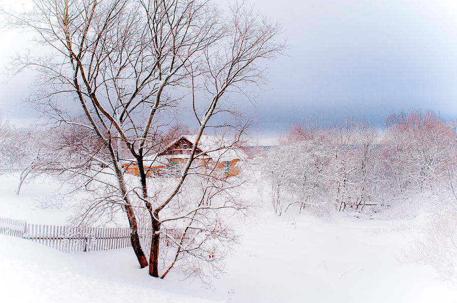 Village under the Snow. Russia Photograph by Jenny Rainbow
