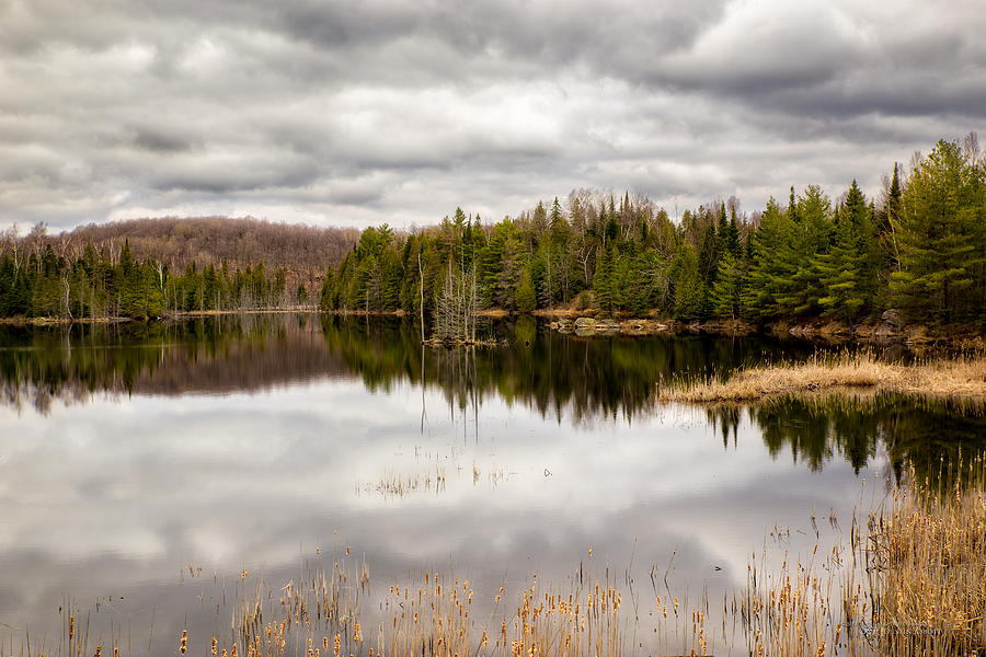 Spring Photograph - Vilneffs Lake by Dustin Abbott