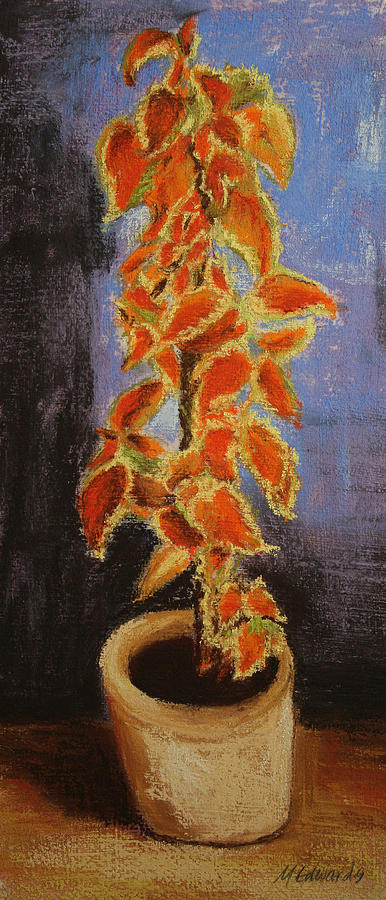 Vincents Coleus in Pastels Pastel by Marna Edwards Flavell