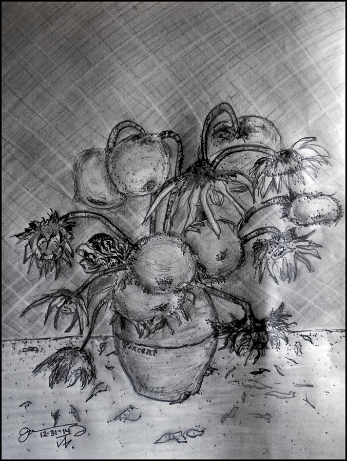 Vincents Wilted Sunflowers Drawing
