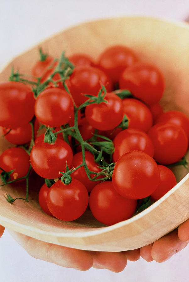 Vine Cherry Tomatoes Photograph by William Lingwood/science Photo Library