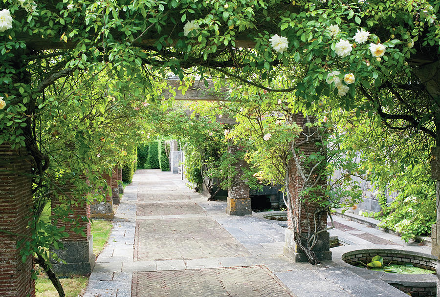 Vine Covered Columns And  Garden Path Photograph by Tim Beddow