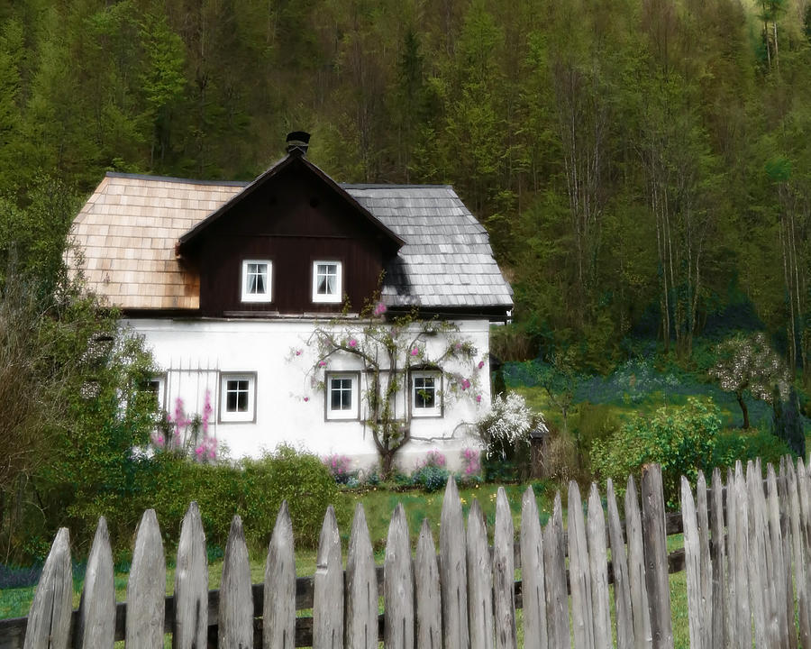 Vine Covered Cottage with Rustic Wooden Picket Fence Photograph by Brooke T Ryan