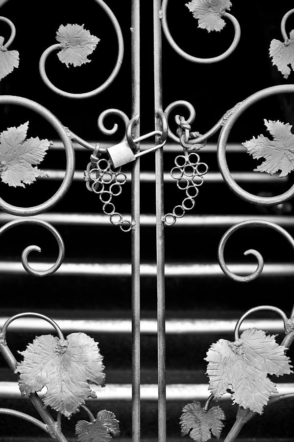 Vine Gate Photograph by Niels Nielsen