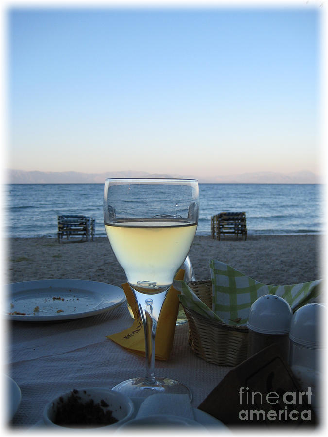 Vine on the beach Photograph by Susanne Baumann