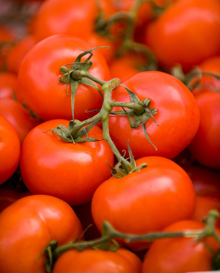 Vine Tomato Photograph by David Smith