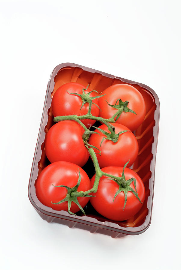 Vine Tomatoes Photograph by Uk Crown Copyright Courtesy Of Fera/science Photo Library