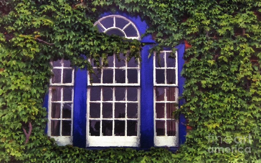 England Photograph - Vine window by L Jackson