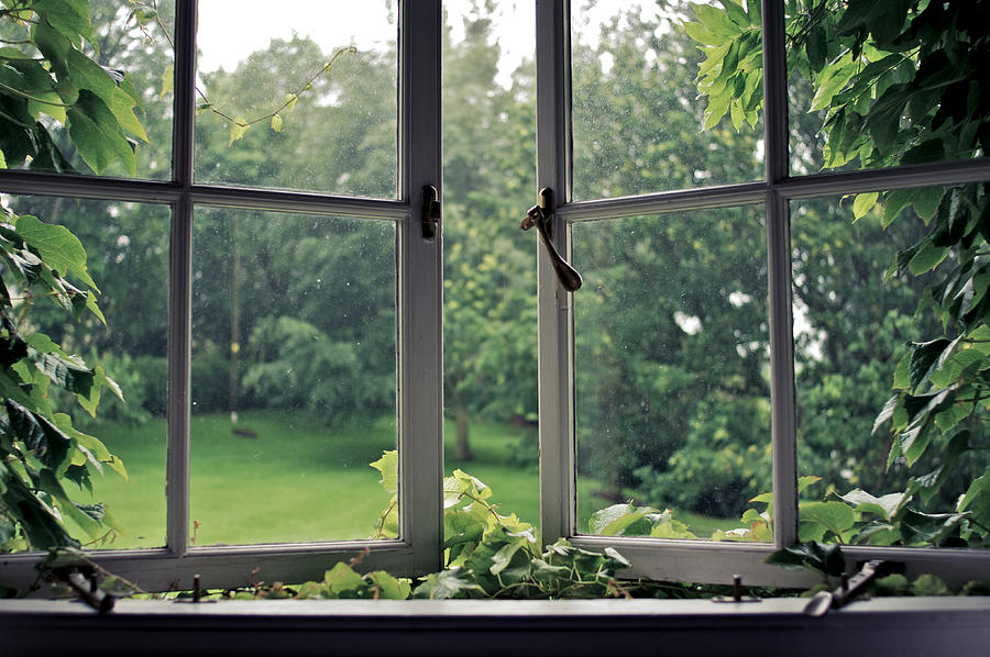 Vines around an old ajar window Photograph by ©andyjbarrow