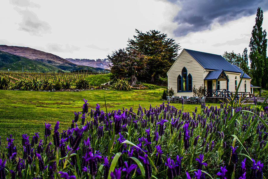 Wine Photograph - Vineyard Cottage by Dean Chytraus