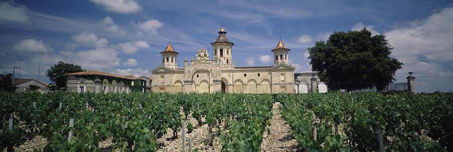 Vineyard In Front Of A Castle, Chateau Photograph by Panoramic Images