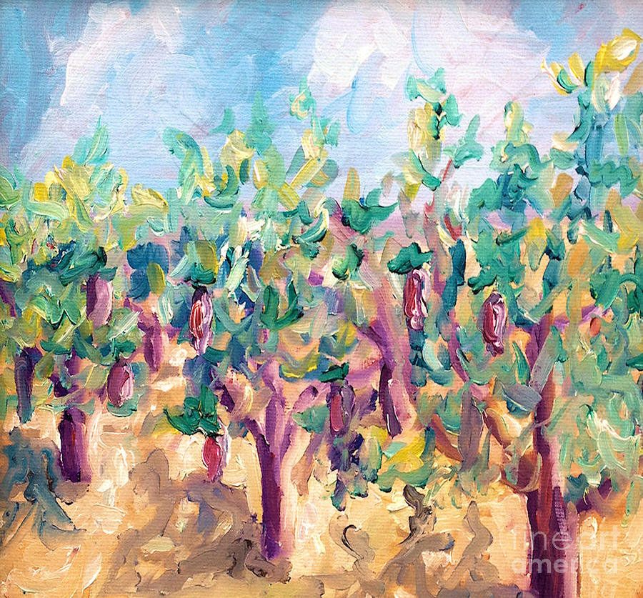 Wine Painting - Vineyard in the afternoon sun by Todd Bandy