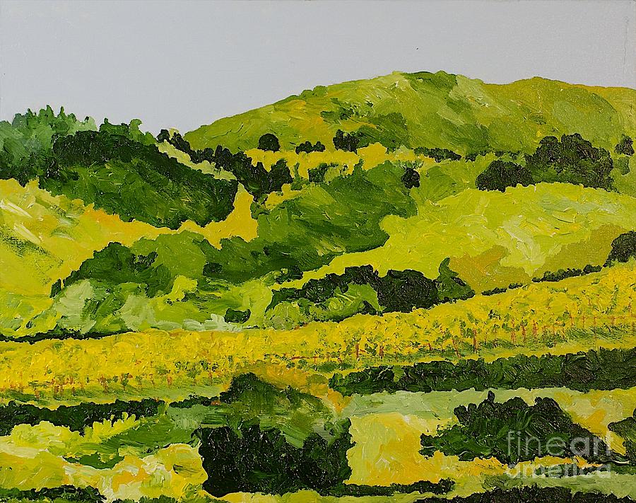 Vineyard In The Hills Painting