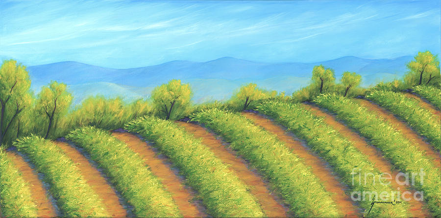 Vineyard by Jerome Stumphauzer Vineyard by Jerome Stumphauzer