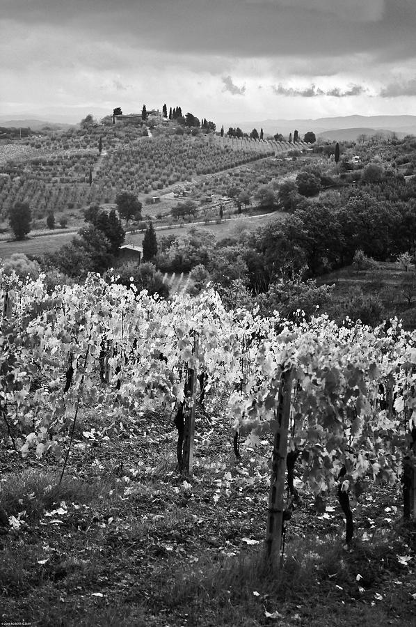 Vineyard Landscape Chianti Tuscany Photograph by Robert Klemm
