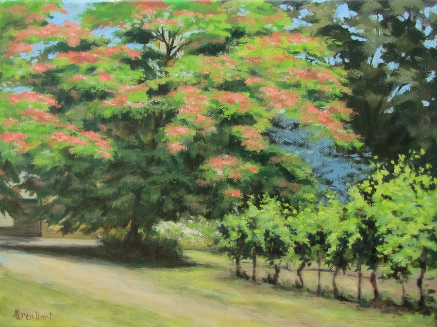 Vineyard Mimosa Painting by Karen Ilari