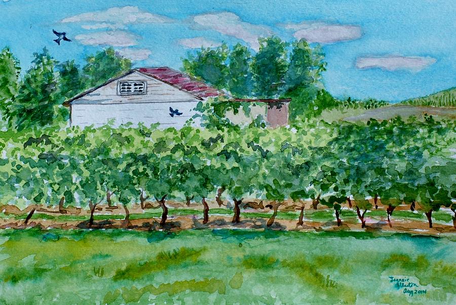 Vineyard of Ontario 2 Painting by Jeannie Allerton