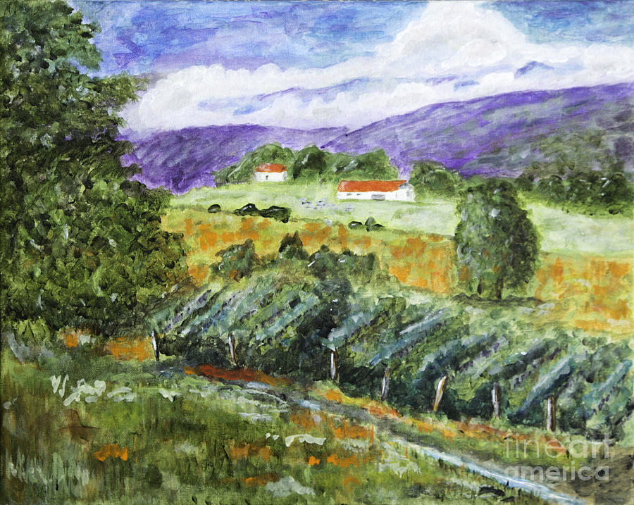 Vineyard Painting by Timothy Hacker